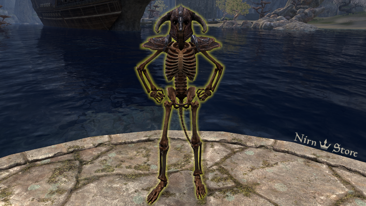 Манекен-скелет (крепкий, каджитский) // Target Skeleton, Robust Khajiit